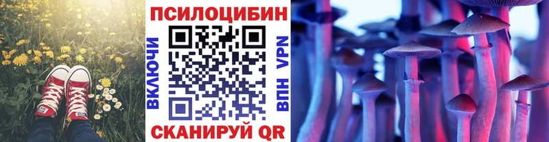 даркнет сайт  Междуреченск  мориарти наркотические препараты  Псилоцибиновые грибы мухоморы 