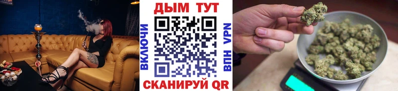 как найти закладки  Междуреченск  Марихуана семена 